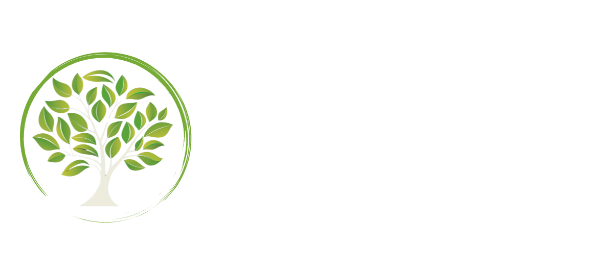brazilbs.com
